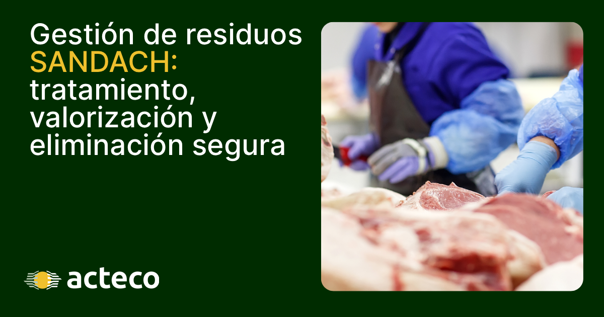 Operarios manipulando carne en la industria alimentaria. Imagen principal del artículo sobre la gestión de residuos SANDACH: tratamiento, valorización y eliminación segura por Acteco.